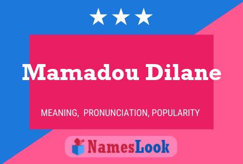 Affiche de nom Mamadou Dilane