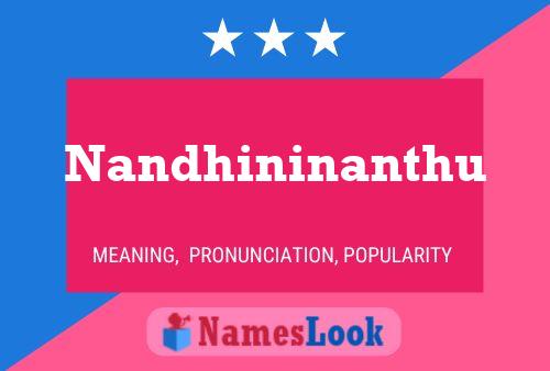 Affiche de nom Nandhininanthu