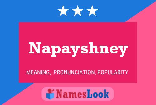 Affiche de nom Napayshney