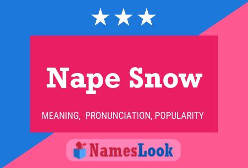 Affiche de nom Nape Snow