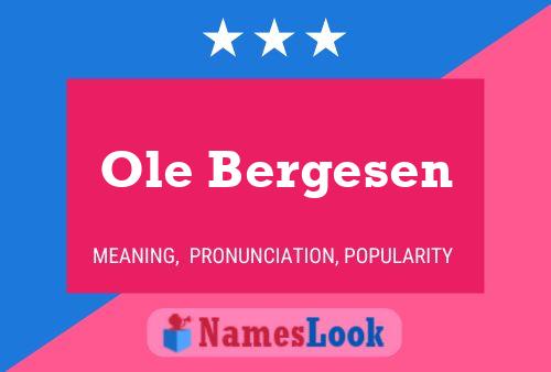 Affiche de nom Ole Bergesen