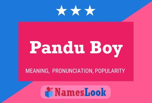 Affiche de nom Pandu Boy