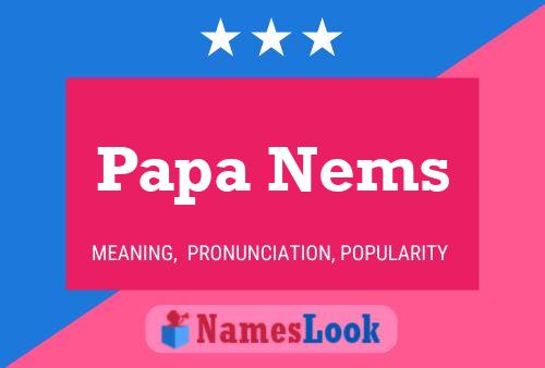 Affiche de nom Papa Nems