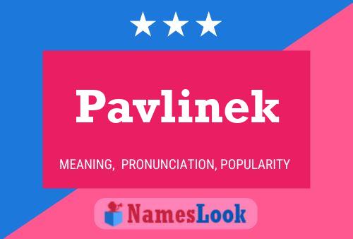 Affiche de nom Pavlinek