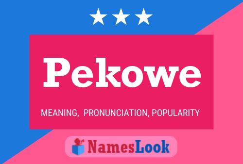 Affiche de nom Pekowe