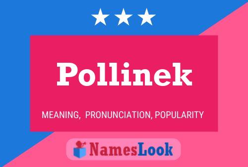 Affiche de nom Pollinek