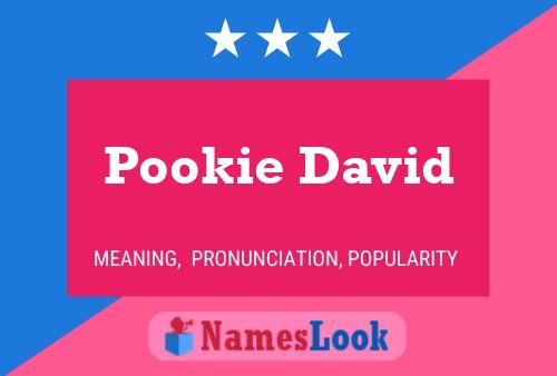 Affiche de nom Pookie David