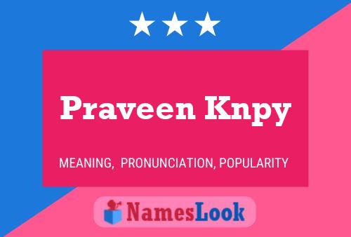 Affiche de nom Praveen Knpy