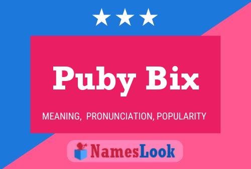 Affiche de nom Puby Bix