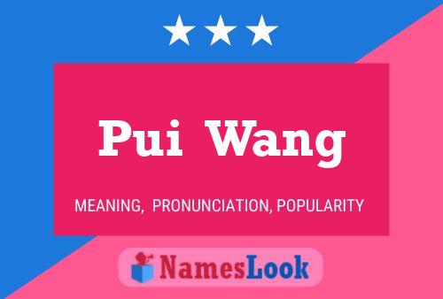 Affiche de nom Pui  Wang