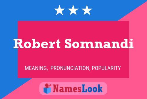 Affiche de nom Robert Somnandi