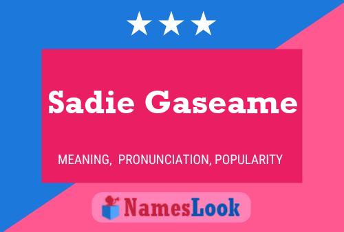 Affiche de nom Sadie Gaseame