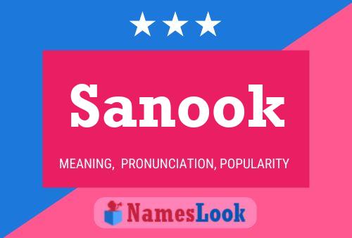 Affiche de nom Sanook