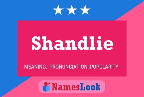 Affiche de nom Shandlie