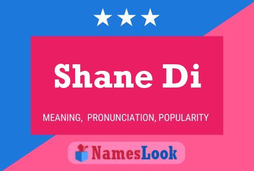 Affiche de nom Shane Di