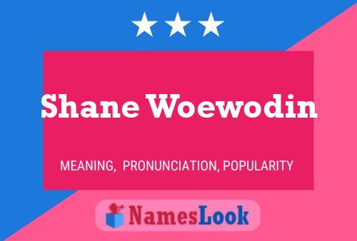 Affiche de nom Shane Woewodin