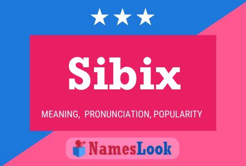 Affiche de nom Sibix