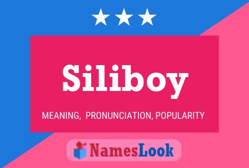 Affiche de nom Siliboy