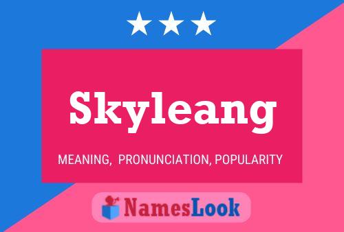 Affiche de nom Skyleang