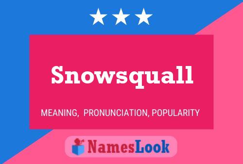 Affiche de nom Snowsquall