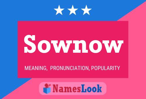 Affiche de nom Sownow