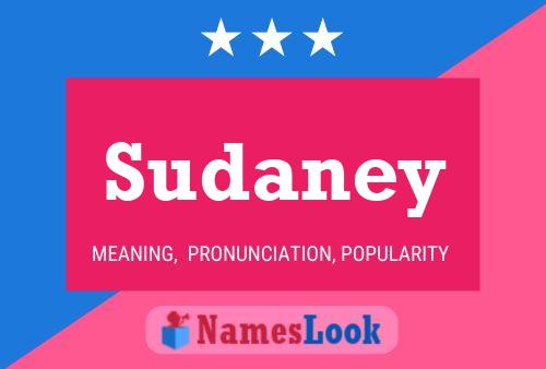 Affiche de nom Sudaney