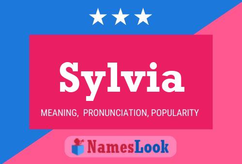 Affiche de nom Sylvia