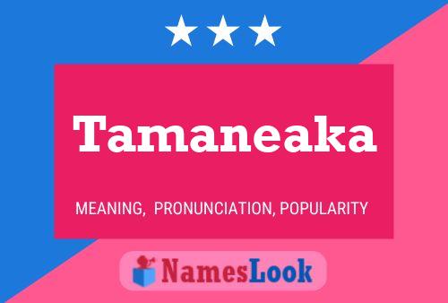 Affiche de nom Tamaneaka