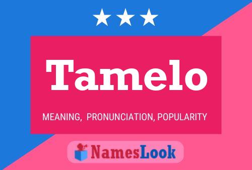 Affiche de nom Tamelo