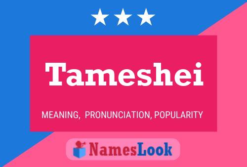 Affiche de nom Tameshei