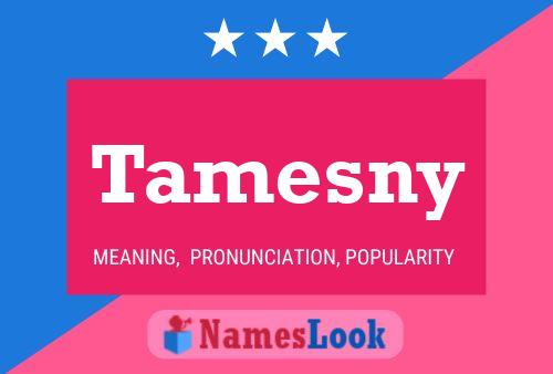 Affiche de nom Tamesny