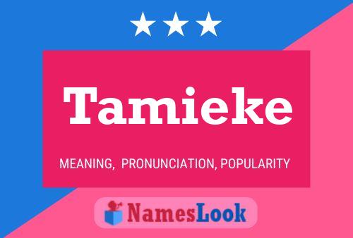 Affiche de nom Tamieke