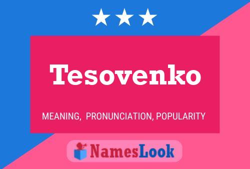 Affiche de nom Tesovenko