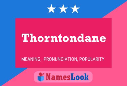 Affiche de nom Thorntondane