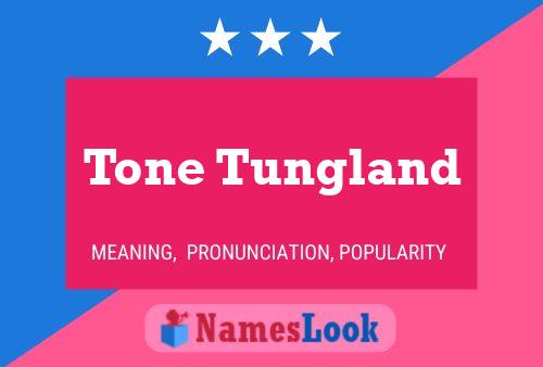 Affiche de nom Tone Tungland