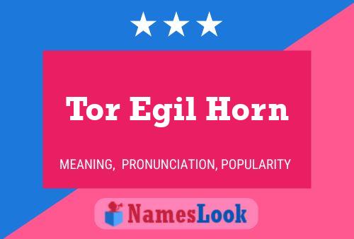 Affiche de nom Tor Egil Horn