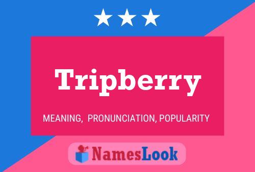 Affiche de nom Tripberry