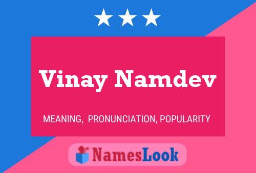 Affiche de nom Vinay Namdev