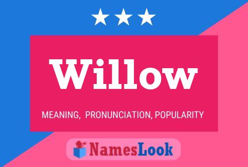 Affiche de nom Willow