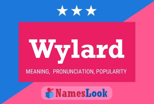 Affiche de nom Wylard