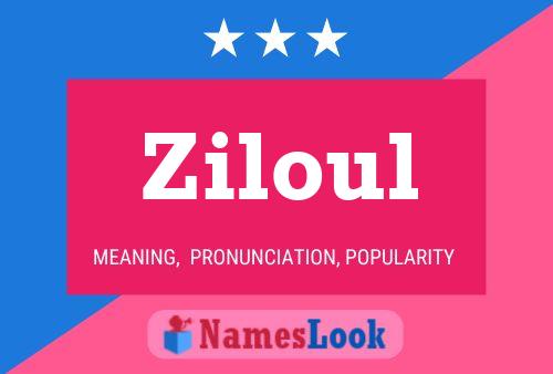 Affiche de nom Ziloul