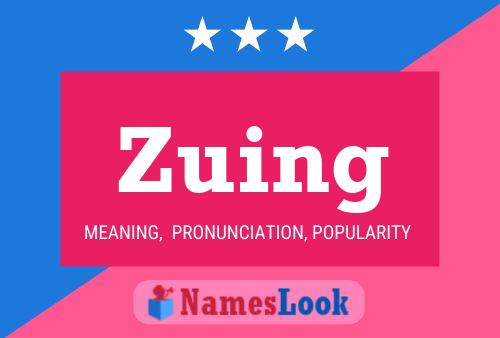 Affiche de nom Zuing