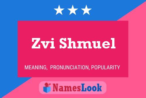 Affiche de nom Zvi Shmuel